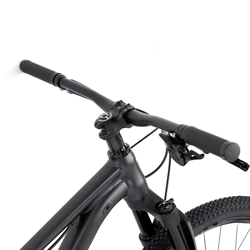 27.5 or 29 Inch 13 Speed Alumi - Mountain Biking Jumps review and price